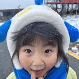木易