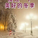 紫竹滴水