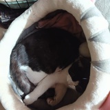 地狱之殇