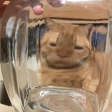 海苔夹心脆
