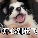 香辣蘸料