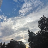 柒之一夏