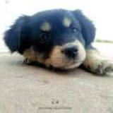豆友_3QmDr7HHA