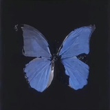 mosta