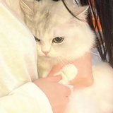 别説再見__