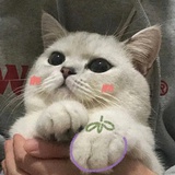 JJ老婆（黑化版