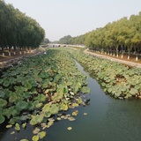 大概