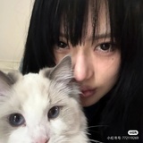 我爱茶碗蒸