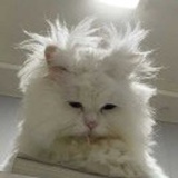 小脏活在春天