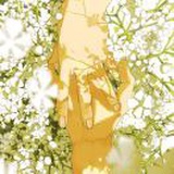 豆友KbALHjfRbU