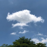 改名字的维他命