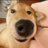哈 哈 哈
