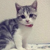 豆友2134035261