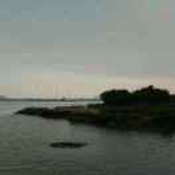 豆友1VJhmwRohg