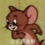 森林狼