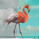 南北岛