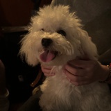 王讷讷