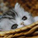豆友2z1q7mwBs4