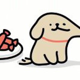 豆友qP1hIniSrs