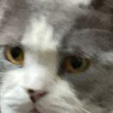 豆友bmq_PyWz4Y