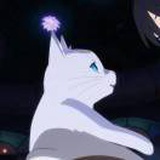有一颗草莓