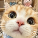 智多星