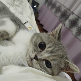 啊