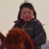 南方高速上放羊