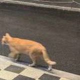 豆友98mhD0bGqo
