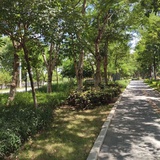 小梁