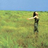 那不勒斯大松鼠