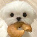 豆友iaEqZNNsL0