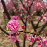 小可爱