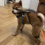九九陈法表