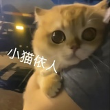 重生之重生了