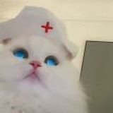 豆友bCjW8gzkjA