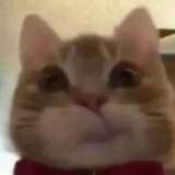 睡不着呼呼呼