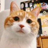 豆友2r4qc3YMaY