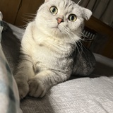 差不點兒