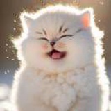 Gdhxjhdi