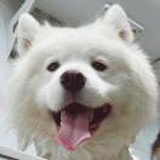 为渊子建的号