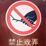 洛依依依