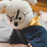 大鹅炖铁锅