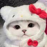 豆友6GizIKsByw