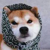 豆友PAyi89XuwU