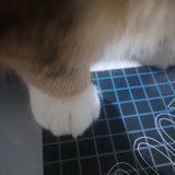 。。。。。