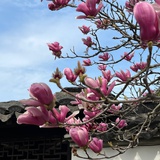 高