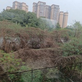 你好