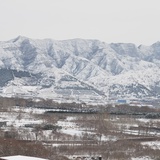 总有刁民想害朕