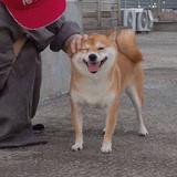 公瑾